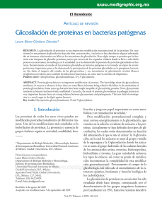 Glicosilación de proteínas en bacterias patógenas