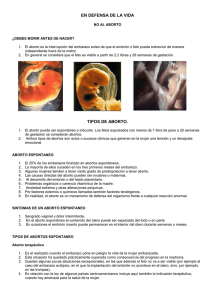 en defensa de la vida tipos de aborto.