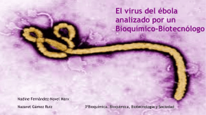 El virus ébola
