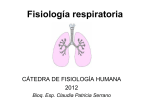 Fisiología respiratoria