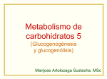 Metabolismo de carbohidratos 5