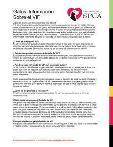 Información Sobre el VIF