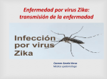 Información sobre el virus Zika - Ayuntamiento Villamanrique de Tajo