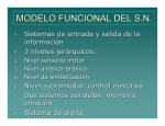 modelo funcional del sn - Facultad de Psicología