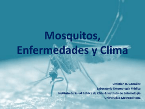 Mosquitos, enfermedades y Clima