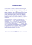 Ferromagnetismo e Histresis