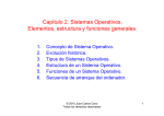 Capítulo 2. Sistemas Operativos. Elementos, estructura y funciones