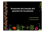 Marcela Cadavid: Evolución del tamaño del genoma de las plantas