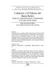 Calderón y El Palacio del Buen Retiro : espacios
