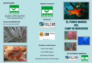 Diapositiva 1 - accio ecologista-agro