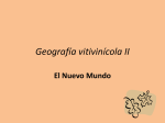 Geografía vitivinícola II El Nuevo Mundo