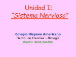 Presentación de PowerPoint - Colegio Hispano Americano