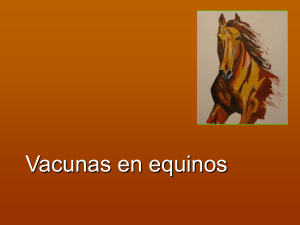 PLAN SANITARIO EN EQUINOS