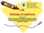 Sistema circulatorio - Colegio Santa Sabina