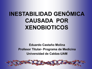 inestabilidad genómica causada por xenobioticos