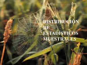 DISTRIBUCION DE ESTADISTICOS MUESTRALES. Archivo