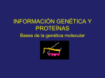 Los genes determinan la expresión de proteínas