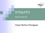 Stiquito