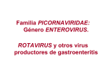 Piconavirus. Gatroenteritis virales