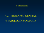 PROLAPSO GENITAL A.
