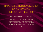 efectos del ejercicio en la actividad neuromusuclar