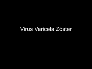 Virus Varicela Zoster
