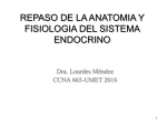 repaso de la anatomia y fisiologia del sistema endocrino