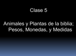 Clase 5a–Animales