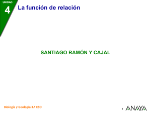 Santiago Ramón y Cajal