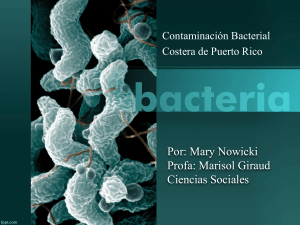 Contaminación Bacteria