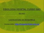 Sin título de diapositiva - curso de fisiologia vegetal 2003