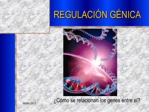 regulación génica