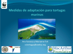 The Adaption to Climate Change Options for Marine Turtles