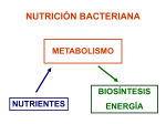 Nutrición y metabolismo bacteriano