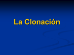 La Clonación - Educar Chile
