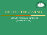 Nervio Trigémino. Maxilar Inferior