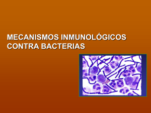 mecanismos inmunológicos contra bacterias