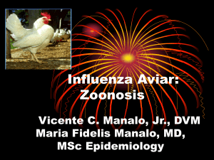 Influenza Aviar