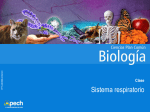 Diapositiva 1 - Somosbiologia