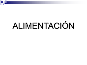 la alimentación correcta es