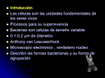 Diapositiva 1 - Microbiologia Ocular