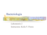 Bacteriologia