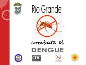 estado libre asociado de puerto rico municipio de río grande