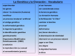 Nuevo Vocabulario - Languages Resources