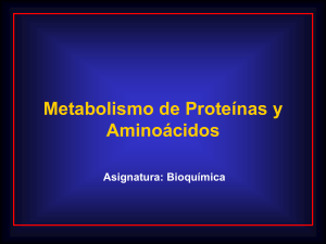 Metabolismo aa y proteinas