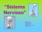 grupo 10 sistema nervioso