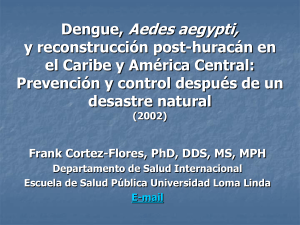 Dengue, Aedes aegypti, y reconstrucción post
