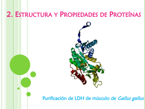 2. Estructura y Propiedades de Proteínas