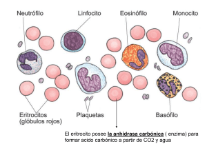 plaquetas - eTableros