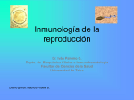 inmuno2